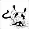 Kisei